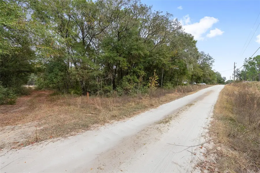 000 SW 28th Lane, Ocala, FL 34481 - Image #2