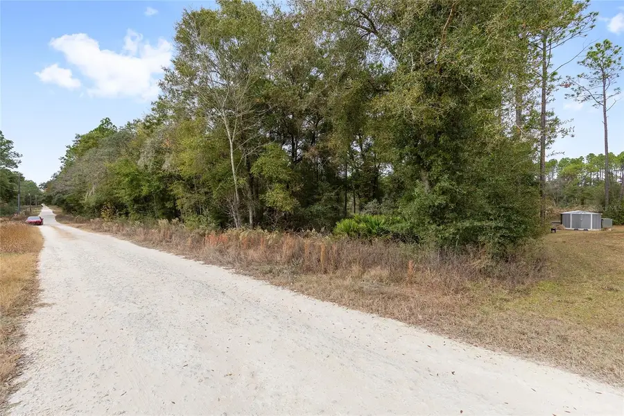 000 SW 28th Lane, Ocala, FL 34481 - Image #3