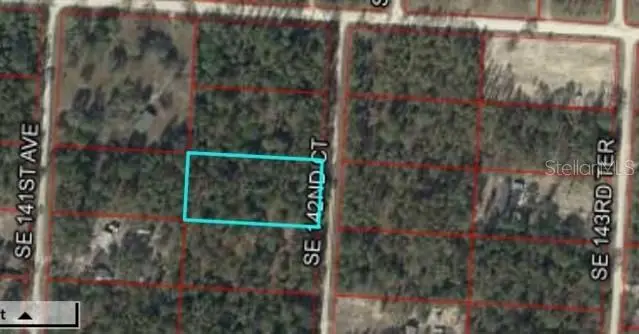 XXX SE 142nd Court, Morriston, FL 32668 - Image #3