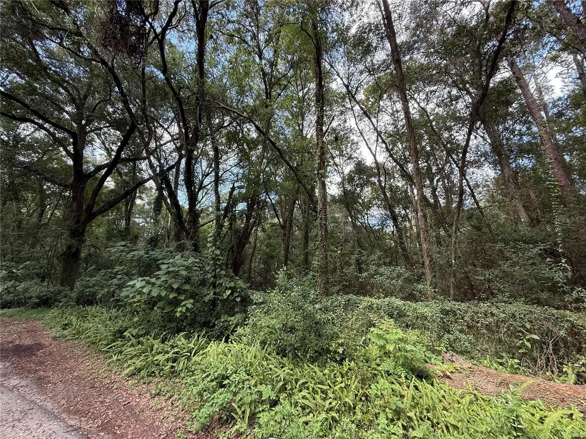 SE 9th Place, Gainesville, FL 32641 - Image #1