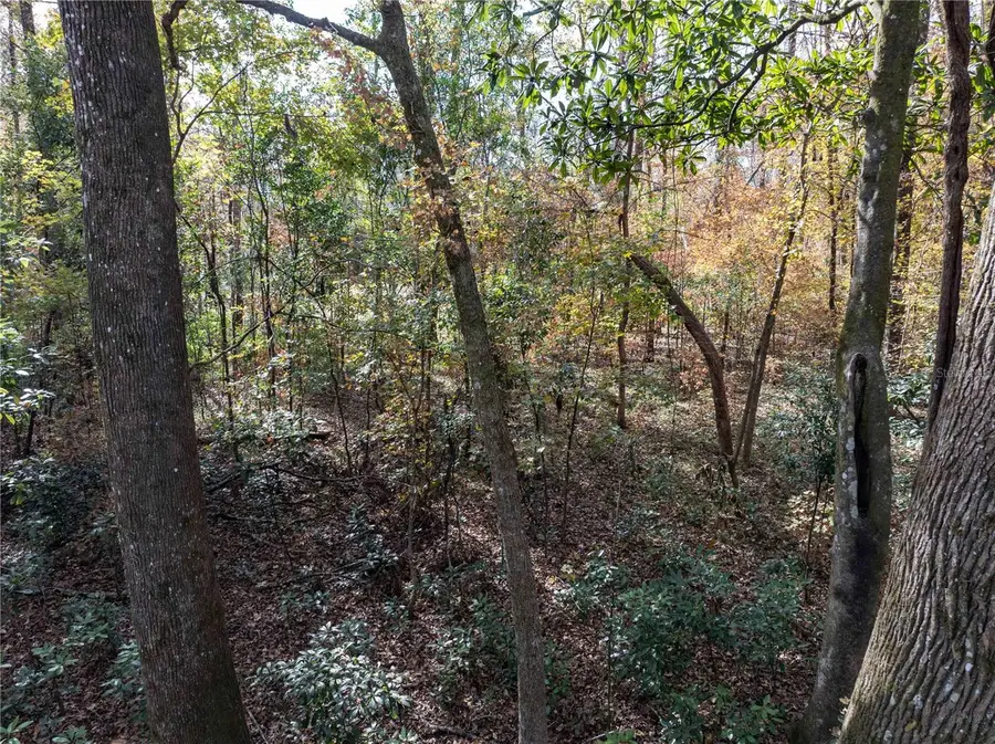 Lots 165 & 166 SW Nebraska Terrace, Fort White, FL 32038 - Image #3