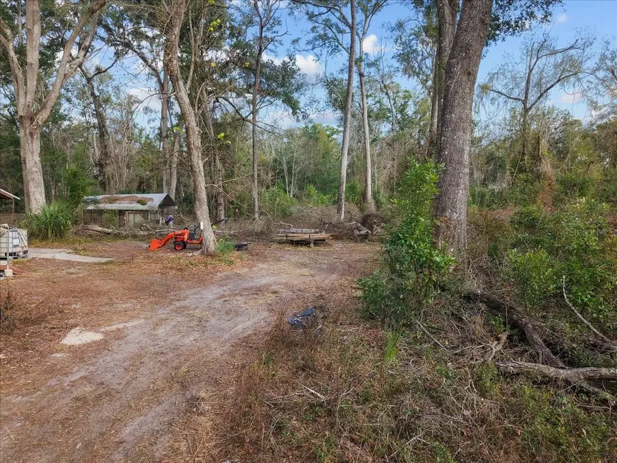 1254 NE 143rd Avenue, Old Town, FL 32680 - Image #3