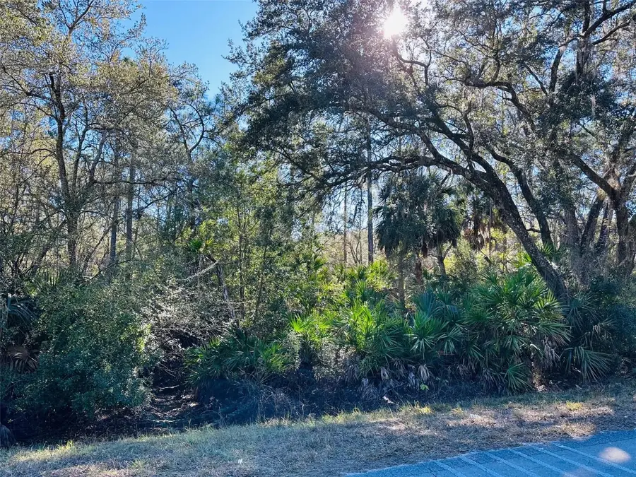 0 SW 60th Street, Cedar Key, FL 32625 - Image #3