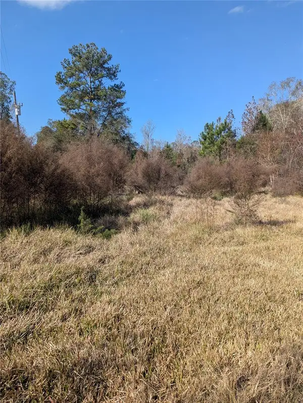 4814 NW 244th Avenue, ALACHUA, FL 32615