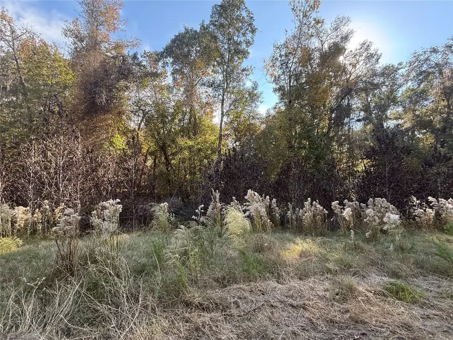 7704 E Cr225 Road, Gainesville, FL 32609 - Image #3