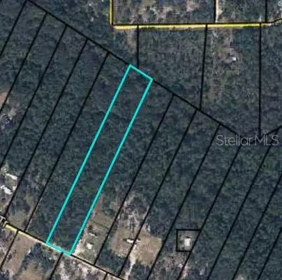 5735 Indian Trail, Keystone Heights, FL 32656 - #2