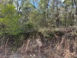 Address Withheld By Seller, Bell, FL 32619 - #3