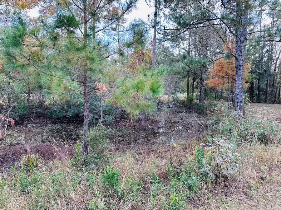 12468 SE Hwy 349, Old Town, FL 32680 - #3