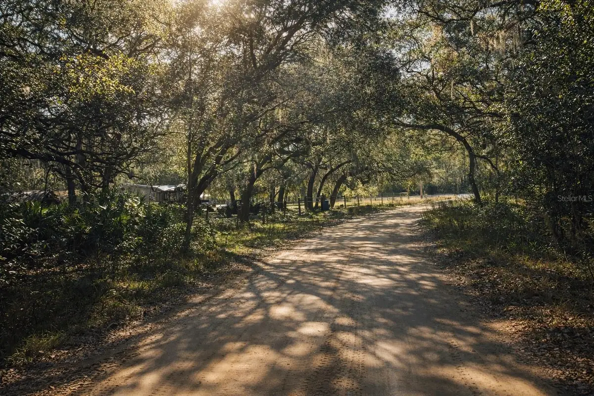 202 Mimosa Drive, Hawthorne, FL 32640 - #1