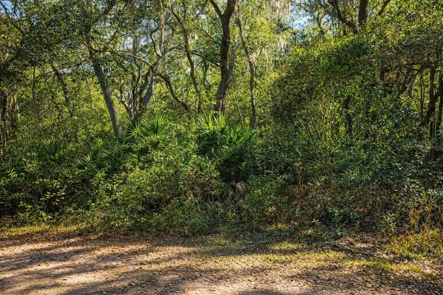 202 Mimosa Drive, Hawthorne, FL 32640 - #3