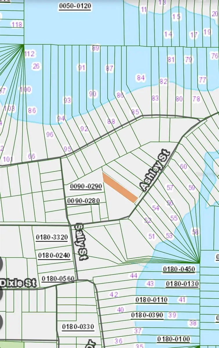 Lot 221 Ashley Street, Hawthorne, FL 32640 - #3