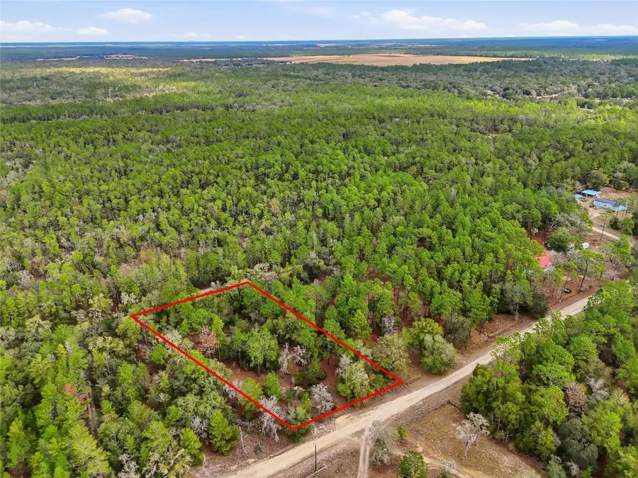 00 NE 111th Lane, Bronson, FL 32621 - #2