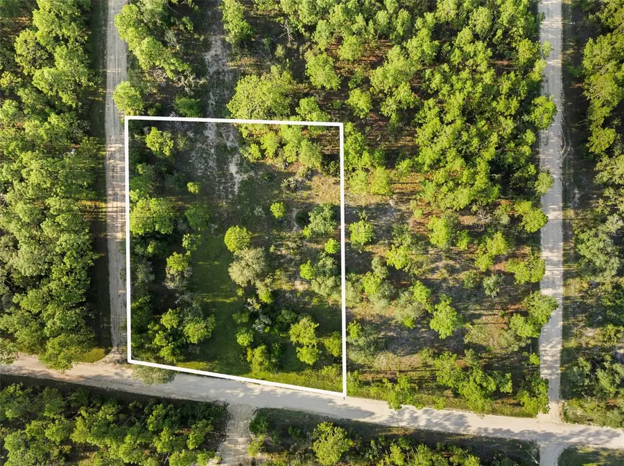 NE 00 Street, Williston, FL 32696 - Image #3