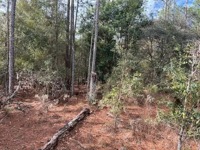 NW 16th Avenue, Bell, FL 32619 - #3