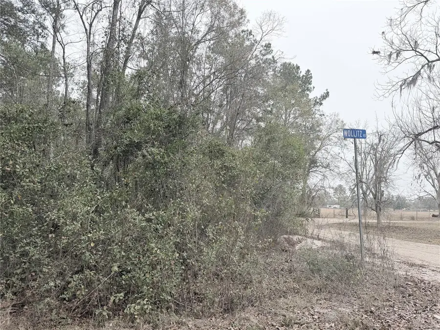 Wollitz Road, Glen Saint Mary, FL 32040 - Image #2
