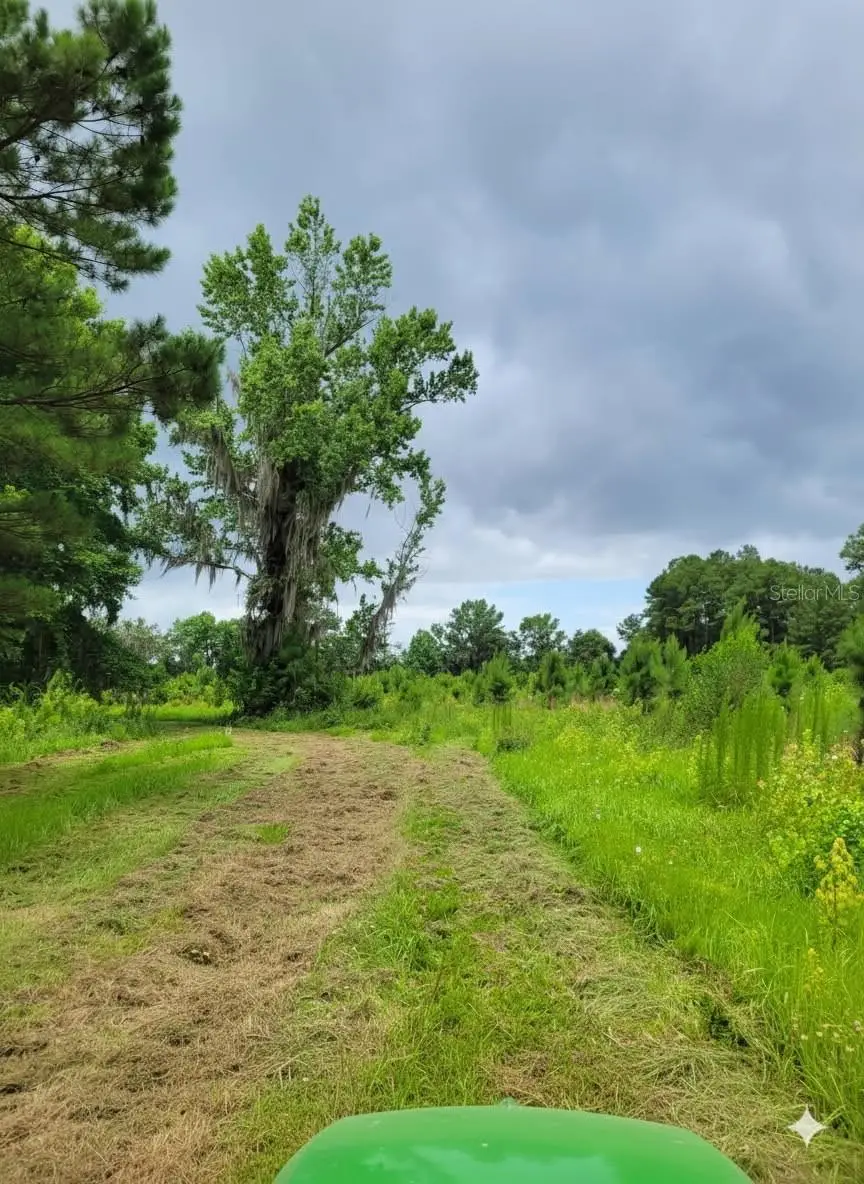 19788 NW 91st Street, Alachua, FL 32615 - Image #3