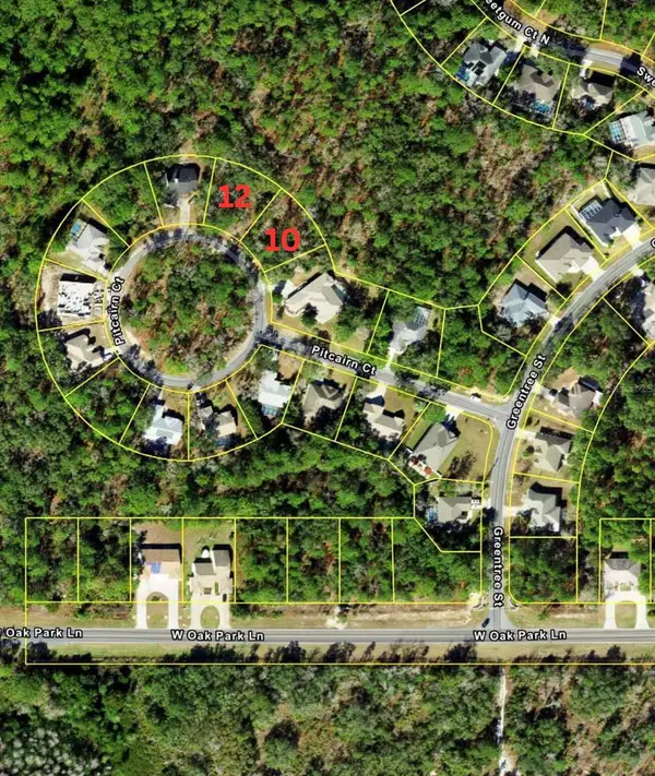 10 Pitcairn Court, HOMOSASSA, FL 34446