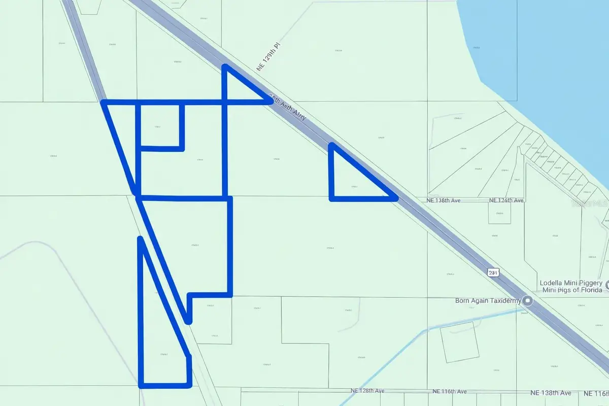 Us-301, Waldo, FL 32694 - #1