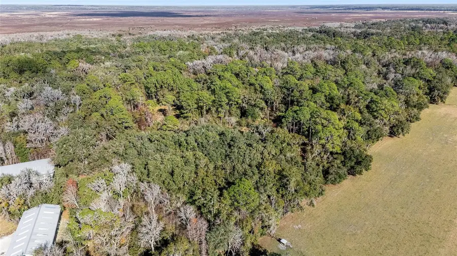 102 SW 109th Place, Micanopy, FL 32667 - #3