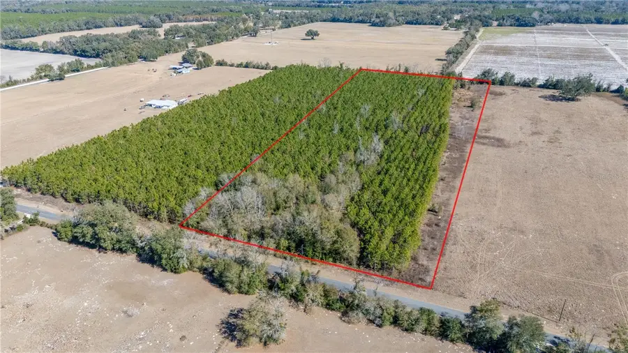 002 Nw 10th Avenue, Trenton, FL 32693 - #3