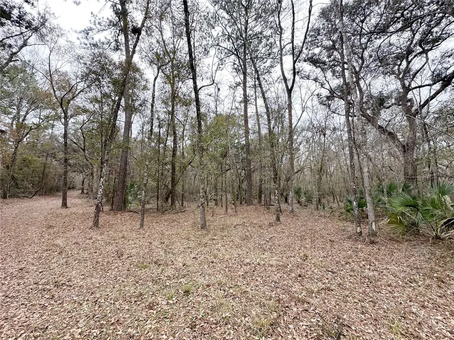 7875 SW County Road 344, Bell, FL 32619 - #2