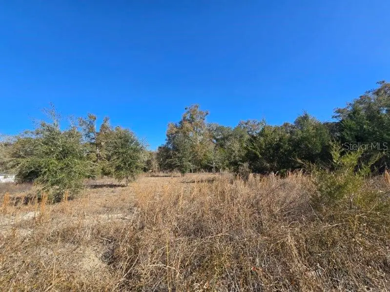 79th Lane, Trenton, FL 32693 - #2