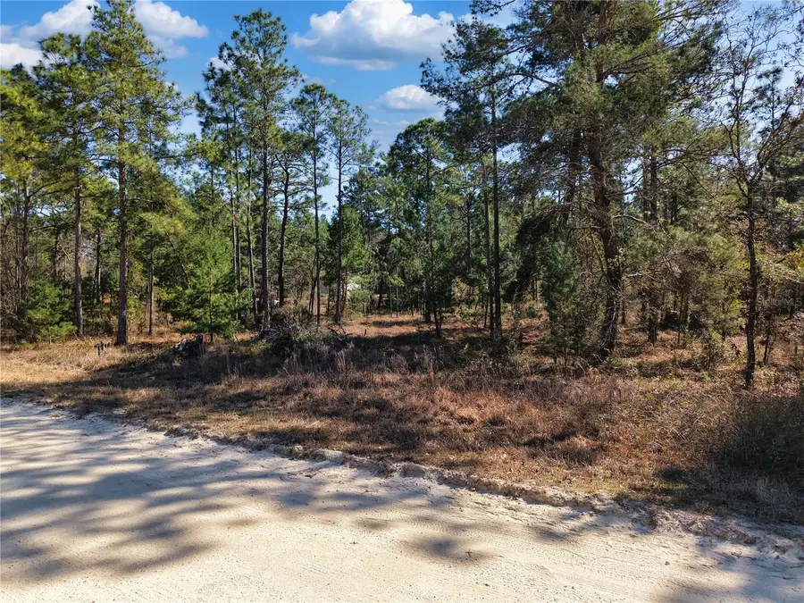 TBD 00 SE 6th Lane, Williston, FL 32696 - #2