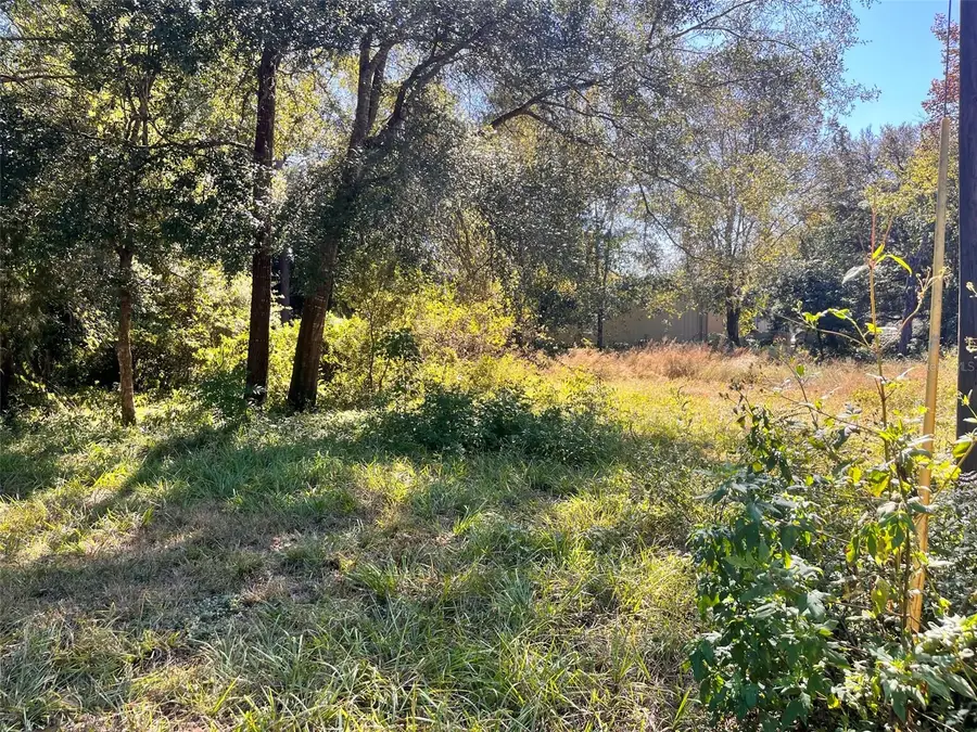 0000 SW 134th Avenue, Archer, FL 32618 - #3