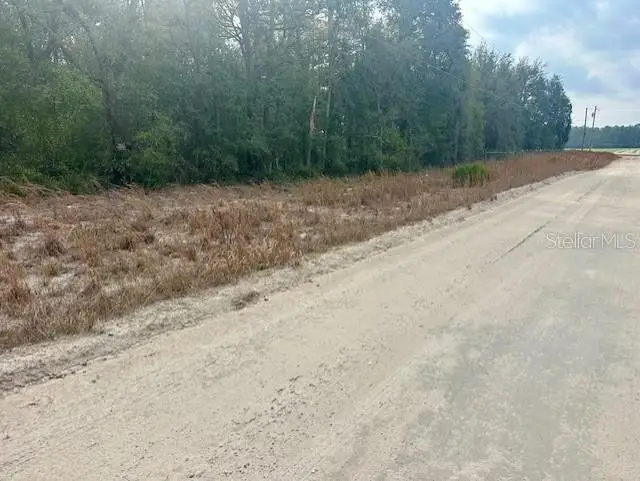 Nw 11th Avenue, Bell, FL 32619 - #2