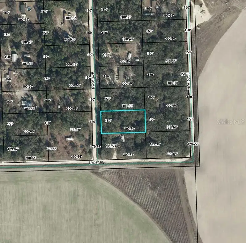 Nw 11th Avenue, Bell, FL 32619 - #3