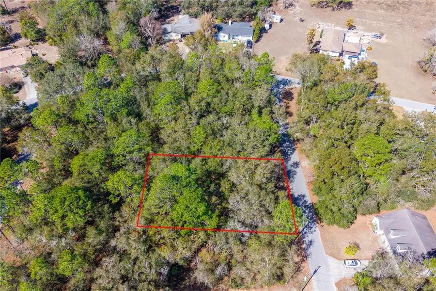 TBD NE 2nd St, Lot 10, Williston, FL 32696 - #3