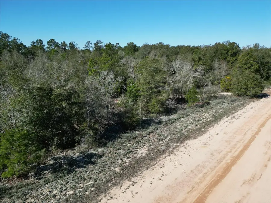 Cardinal Avenue, Marianna, FL 32448 - #3