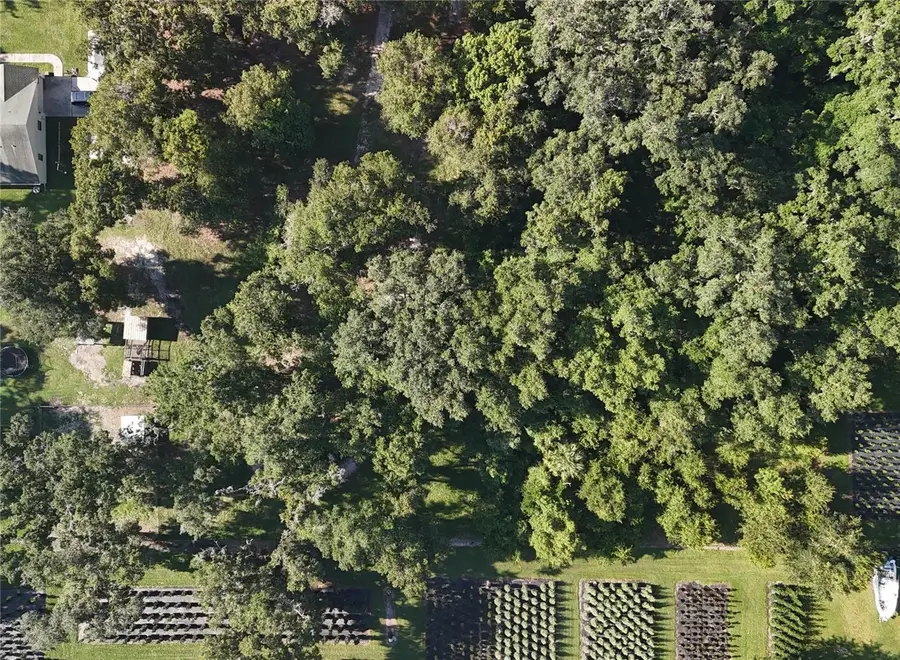 3015 Owls Nest Lane, Plant City, FL 33565 - #3