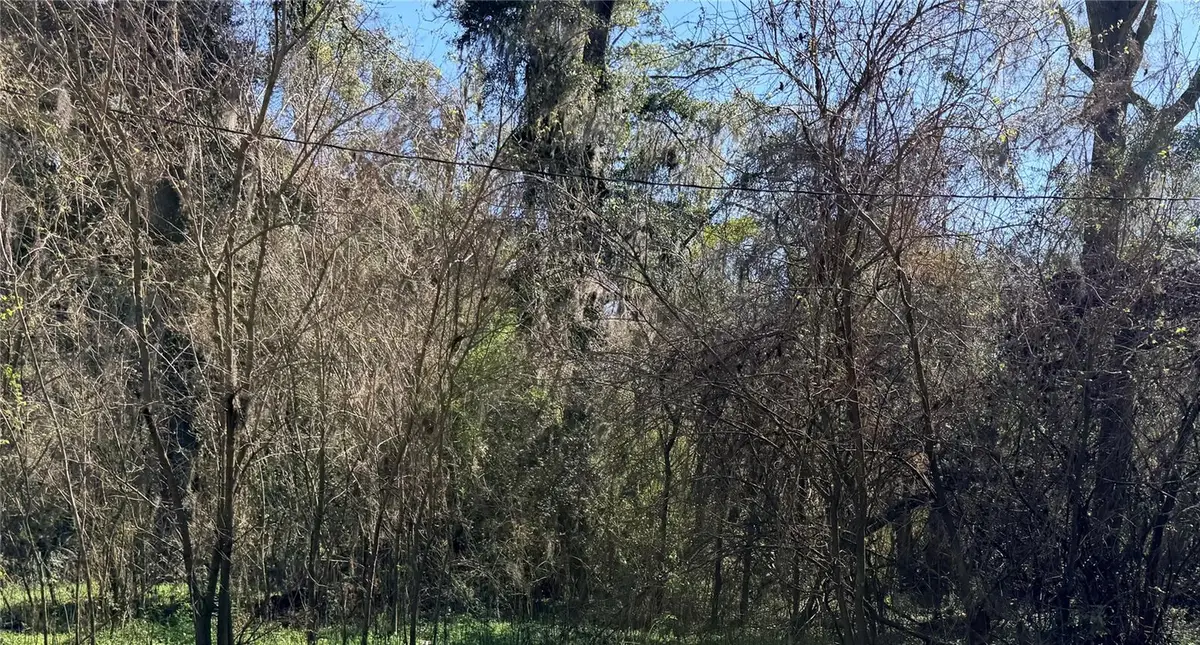 TBD Platted Road Way, Alachua, FL 32615 - #1