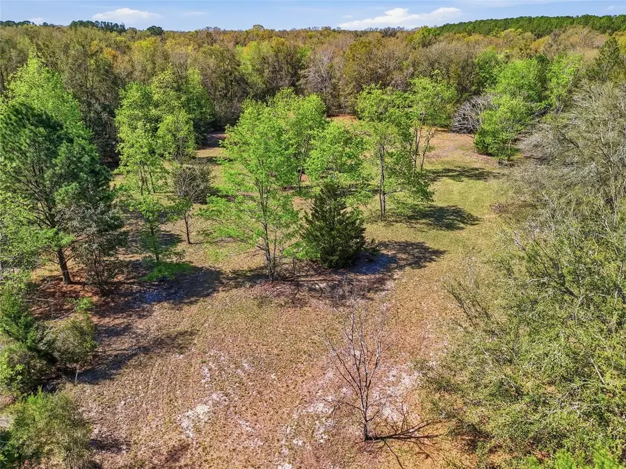6615 NW County Road 235, Alachua, FL 32615 - #3