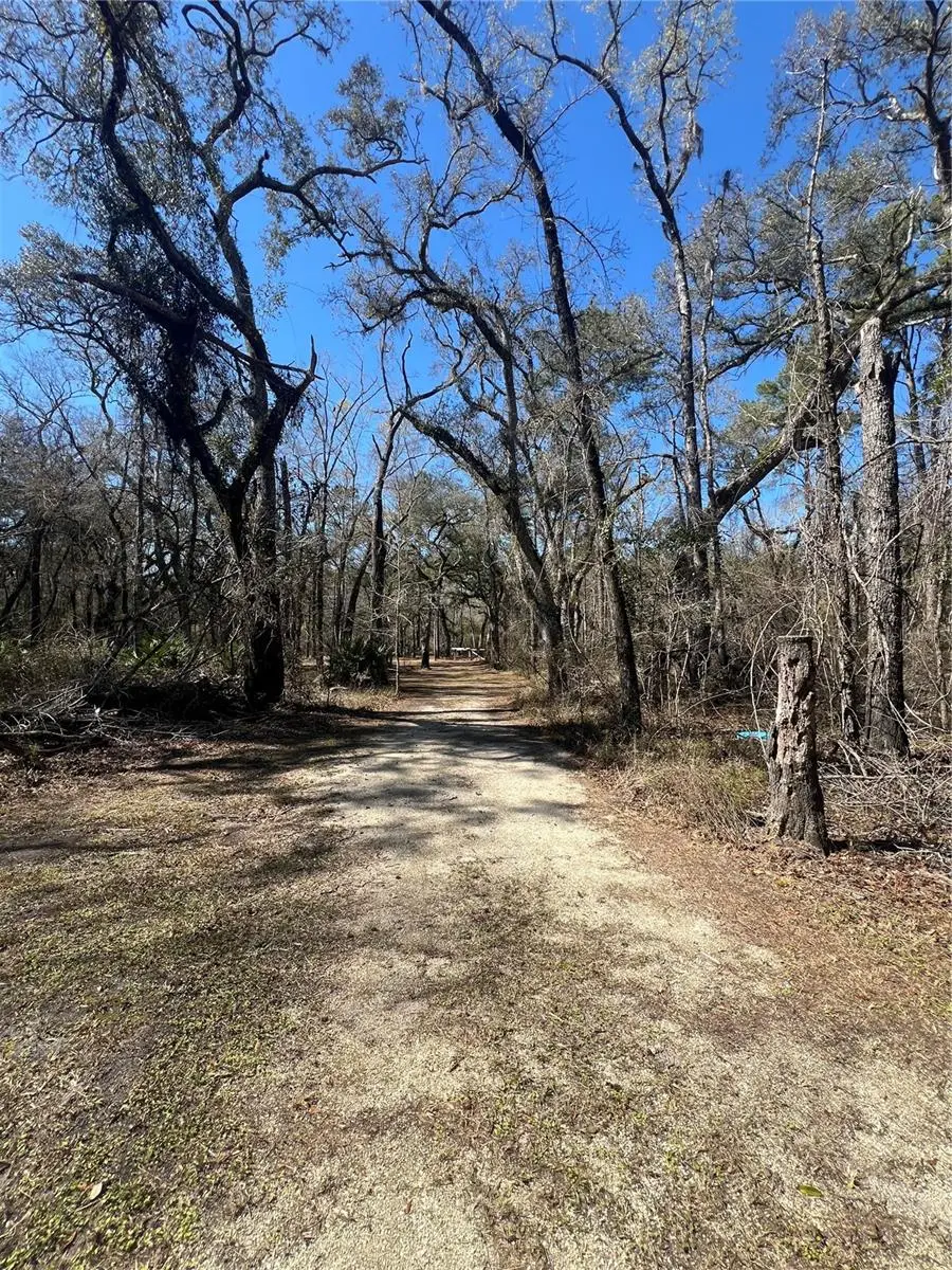 0 SE Se Elisha Boulevard, Branford, FL 32008 - #2