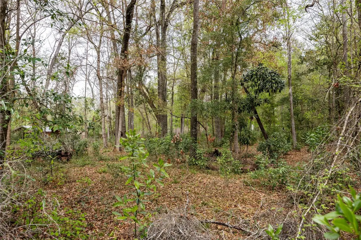 Lot 45 SW Boston Terrace, Fort White, FL 32038 - #1