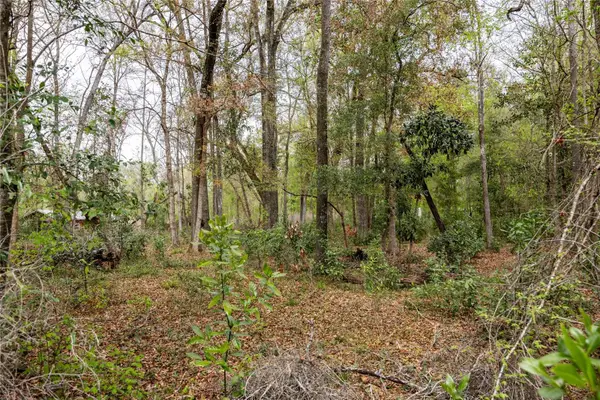 Lot 45 SW Boston Terrace, FORT WHITE, FL 32038