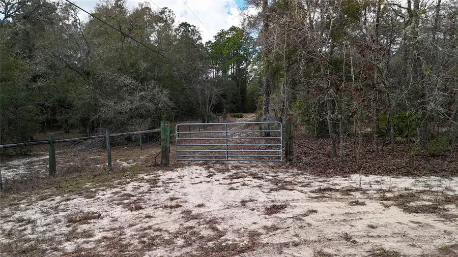 237 Highland Drive, Hawthorne, FL 32640 - #2