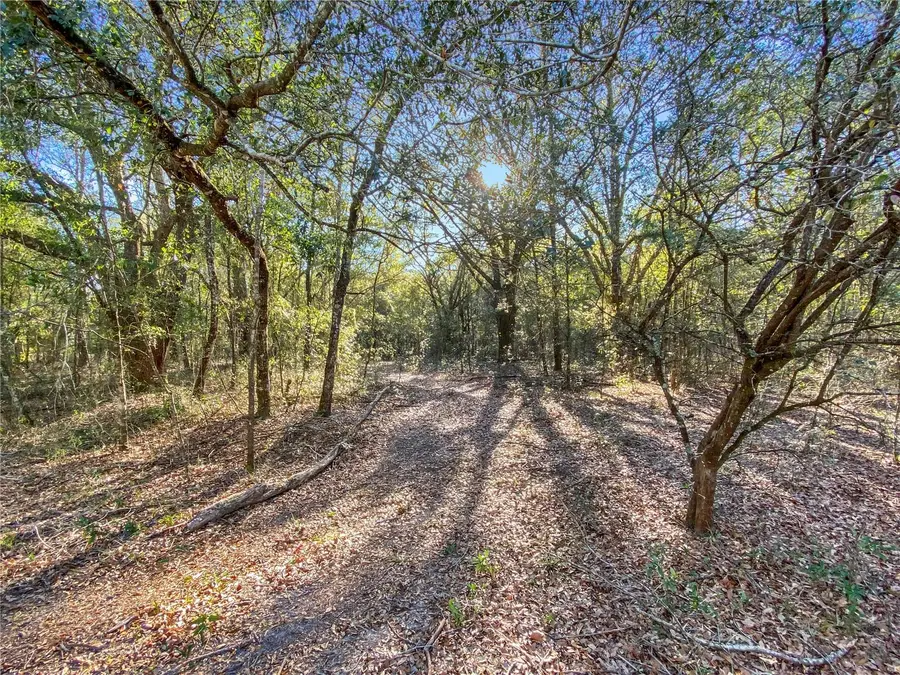 Sw Buffalo Ct, Fort White, FL 32038 - #3