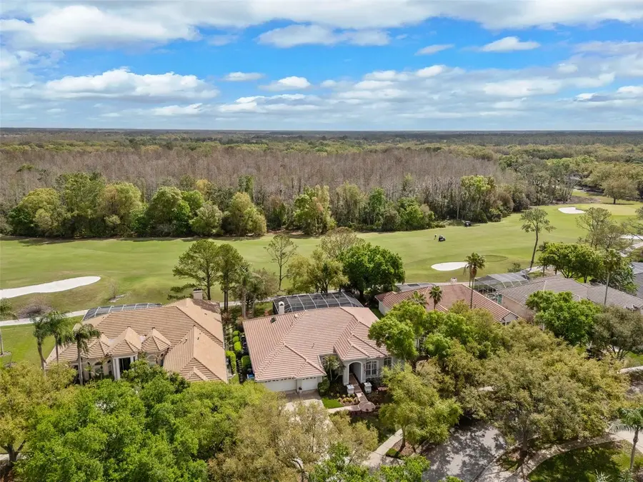 17815 Osprey Pointe Place, Tampa, FL 33647 - #2