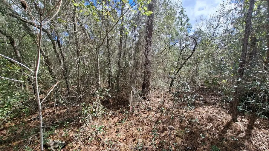 Fisher Run, Ocklawaha, FL 32183 - #2