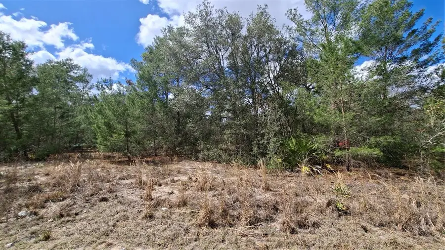 Fisher Run, Ocklawaha, FL 32183 - #3