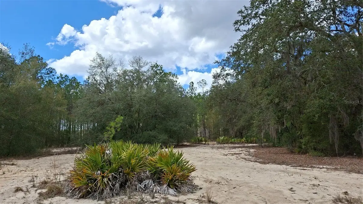 Fisher Way, Ocklawaha, FL 32179 - #1