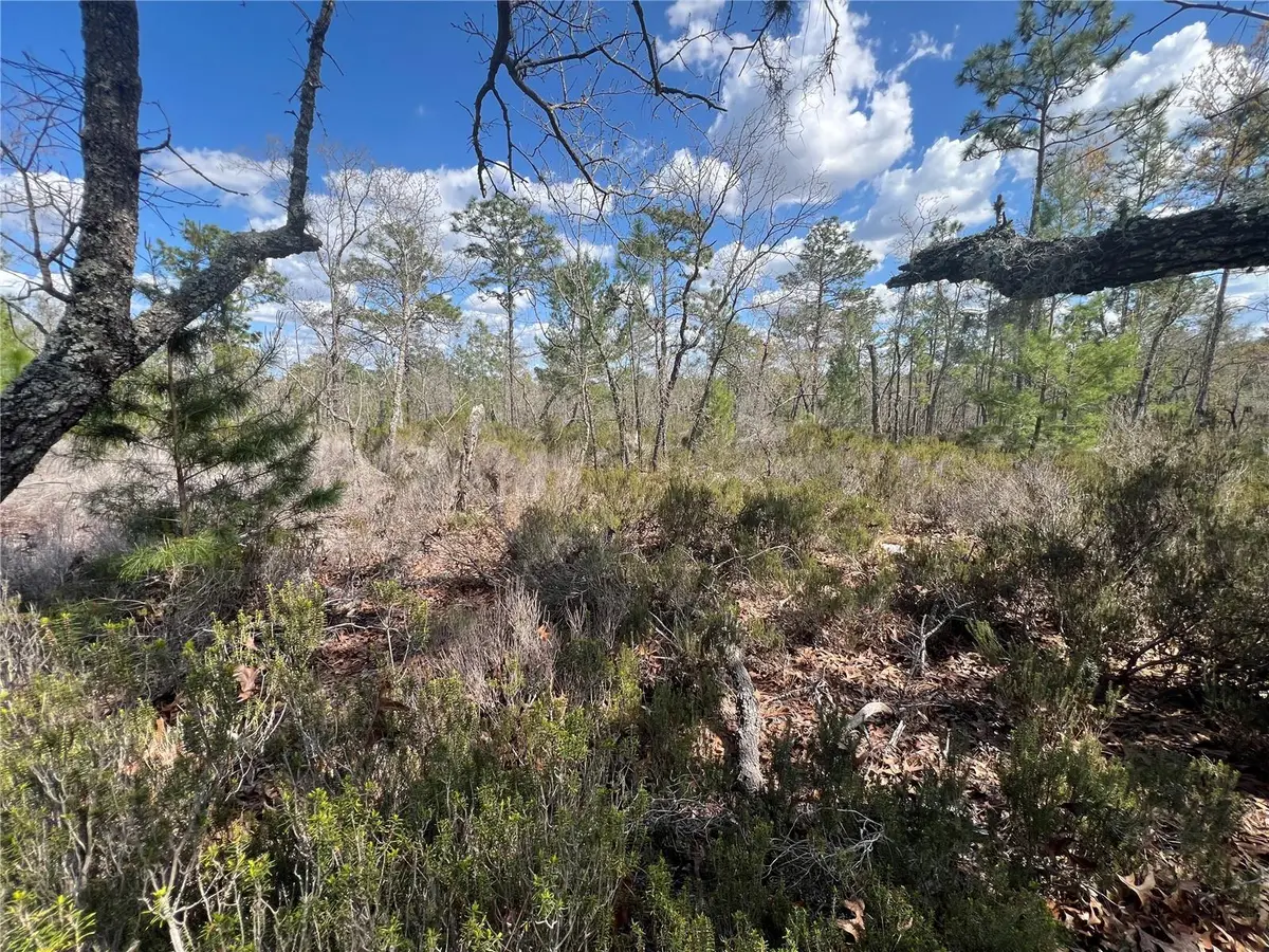 131 Quail Way, Hawthorne, FL 32640 - #1