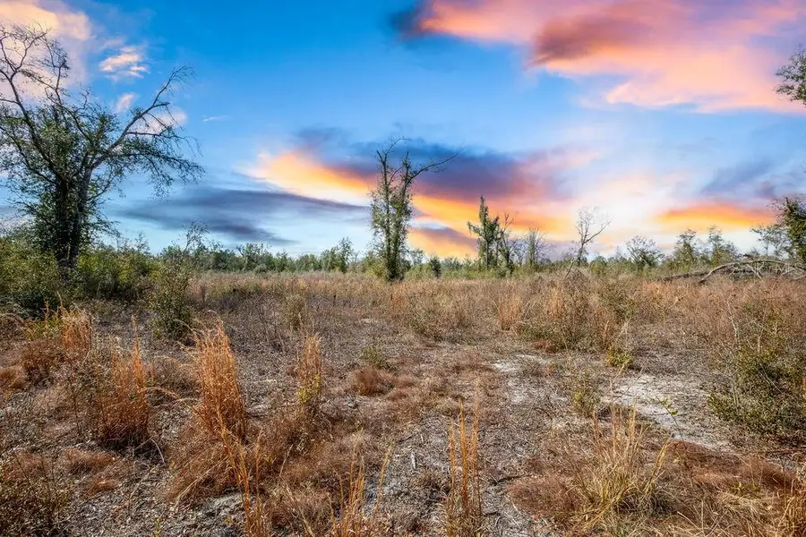 TBD Walker Place, Live Oak, FL 32060 - #2