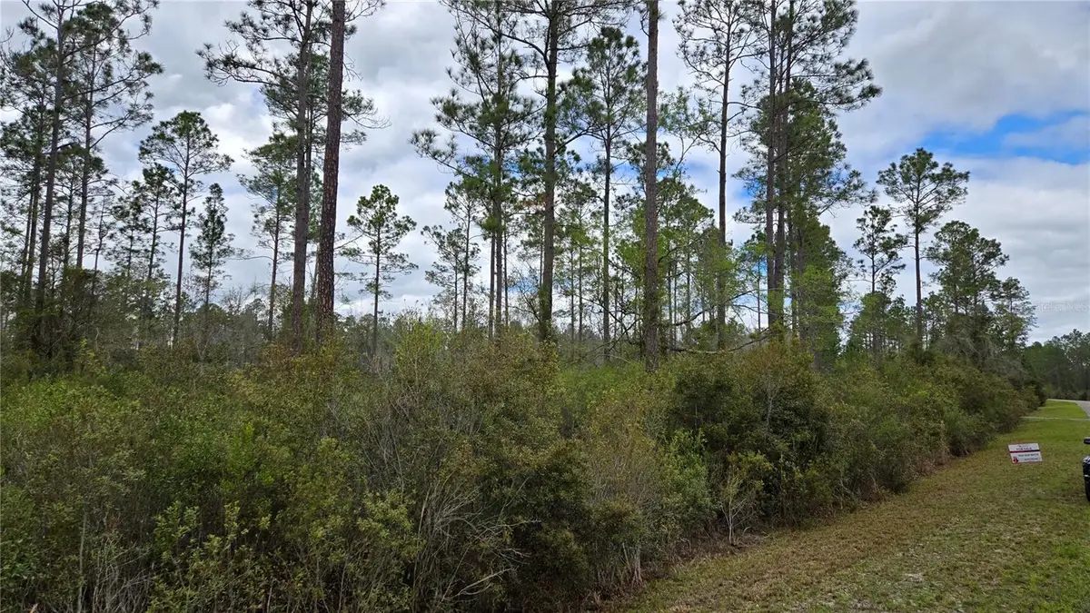 Lot 10 NW Natalie Way, Lake City, FL 32055 - #1