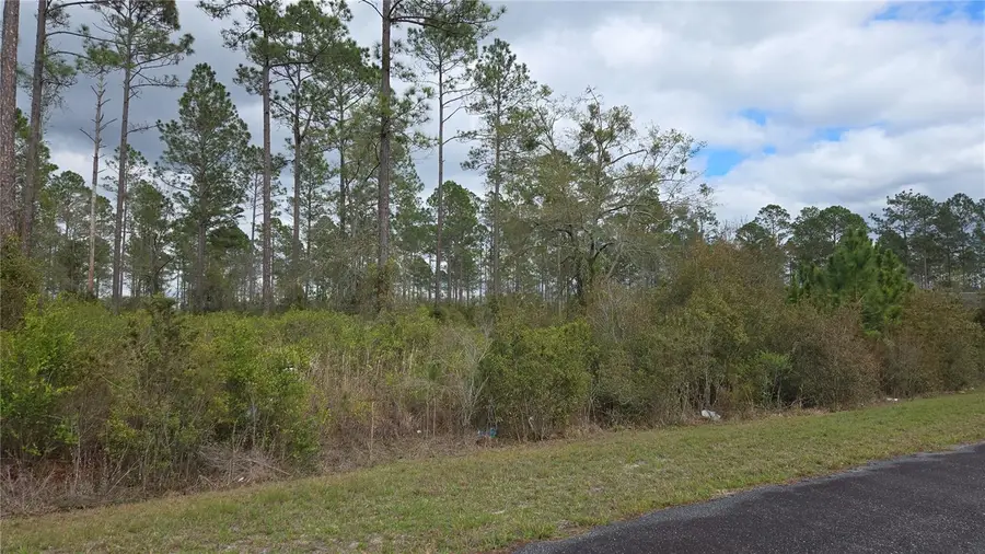 Lot 9 NW Natalie Way, Lake City, FL 32055 - #3
