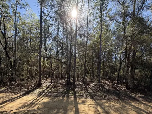 SE 7th Avenue, INTERLACHEN, FL 32148