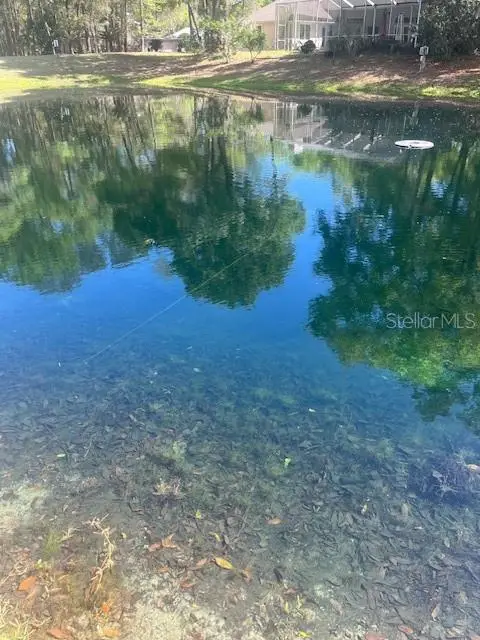 5717 NW 43rd Road, Gainesville, FL 32606 - #3